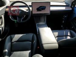 تسلا موديل Y